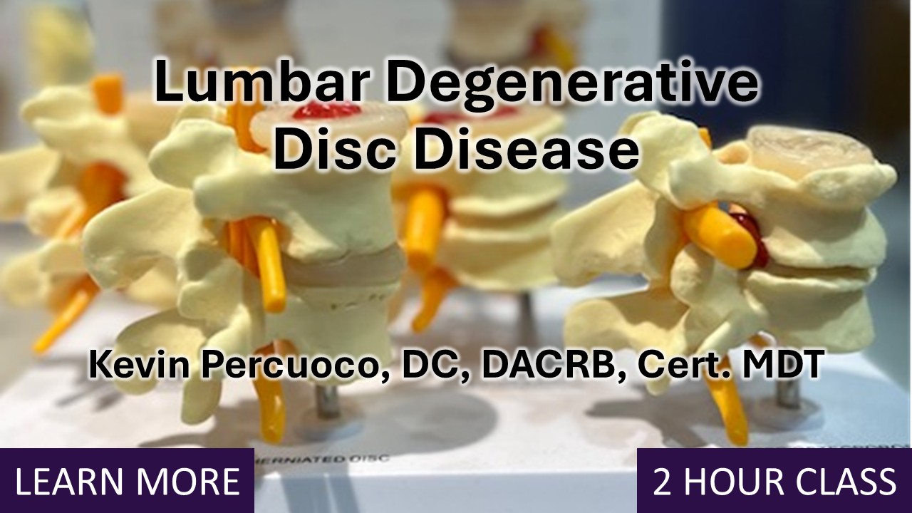 Palmer Online: Lumbar Degenerative Disc Disease